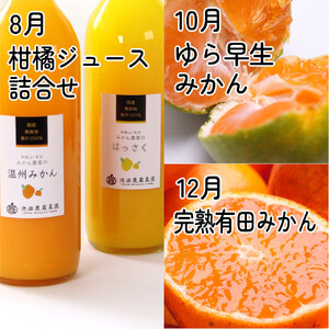 家庭用 柑橘定期便S（偶数月）全6回 ［IKE302］