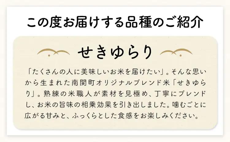 無洗米 せきゆらり 5kg 12ヶ月 定期便 熊本県産 国産 無洗