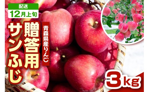 【2026年12月上旬発送】りんご 青森 サンふじ 3kg 程度 《 贈答用 》 農家直送 サンフジ 青森県 五所川原市 贈答 プレゼント 贈り物 林檎 リンゴ apple