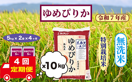 【定期便4回】北海道奈井江町　特別栽培米　ゆめぴりか　10kg【無洗米】