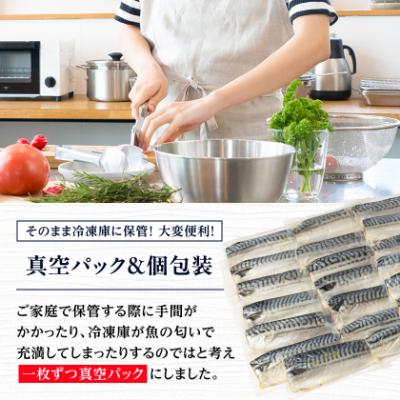 ふるさと納税 館山市 【訳あり】塩さば 20切れ 約2.2kg(個包装) |  | 01