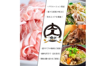 箱根山麓豚　モモ・ウデ切り落とし３K盛り(500ｇ×６パック)【 箱根山麓豚 切り落とし 神奈川県 小田原市 】