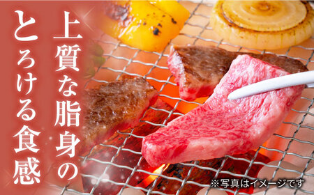 【 訳あり 】 長崎和牛 ロース 焼肉用 約500g＜大西海ファーム＞ [CEK132]