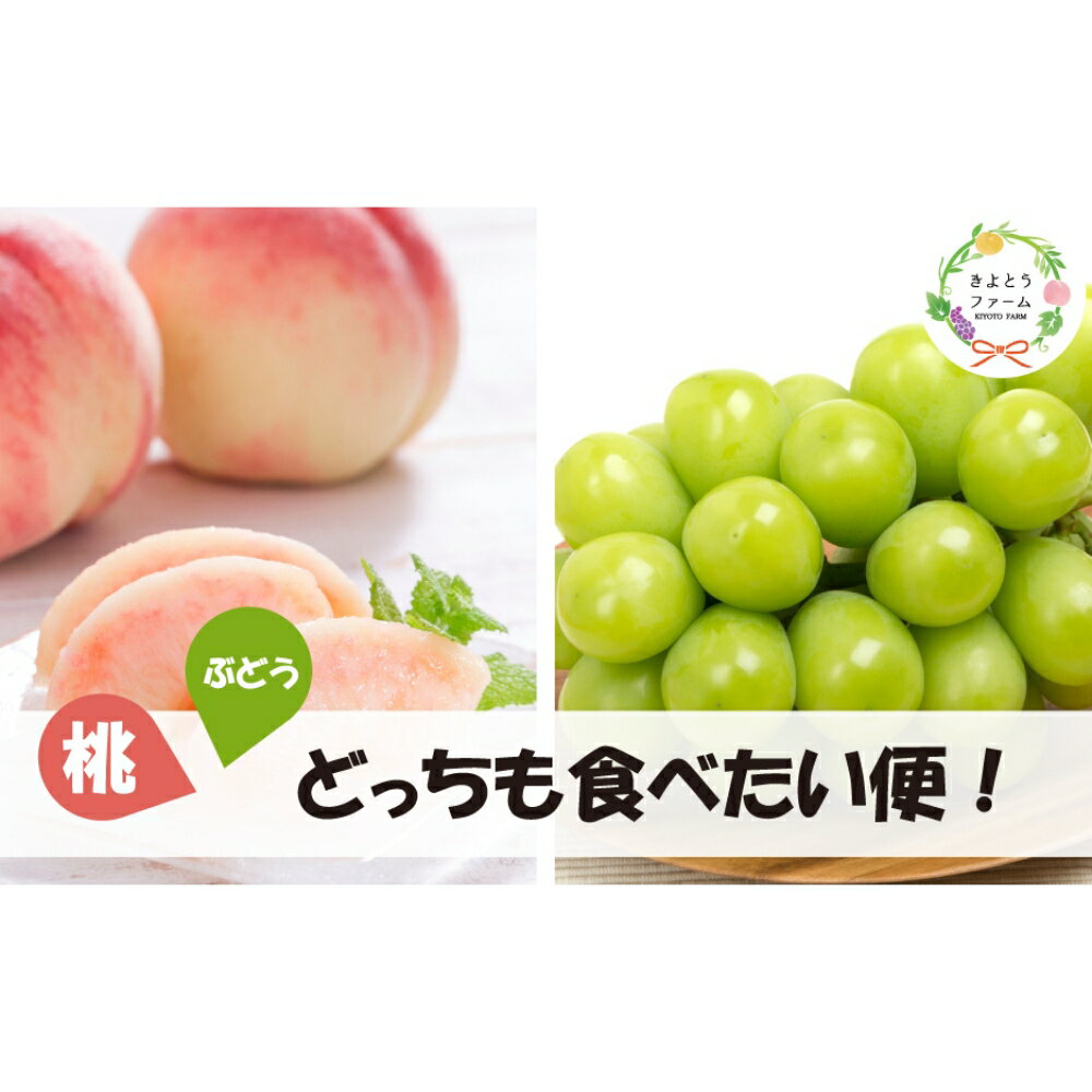 【ふるさと納税】【2026年先行予約】【全2回定期便】 旬採り桃とシャインマスカットどっちも食べたい便！2回便 岡山 真庭 フルーツ 果物 ぶどう きよとうファーム