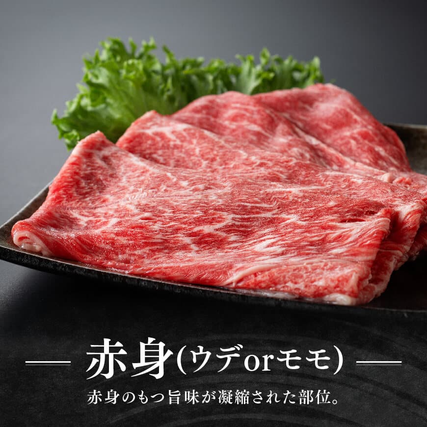 宮崎牛赤身(ウデorモモ)霜降りすきしゃぶ2種400g　宮崎牛 牛肉 [D11118]