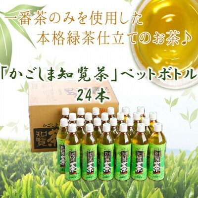 【ふるさと納税】かごしま知覧茶ペットボトル24本【1185756】