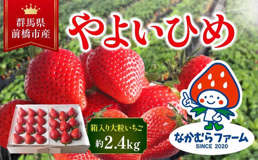 
                  いちご『やよいひめ』約2.4㎏ (2,400g)　【群馬県いちご品評会入賞！】
                