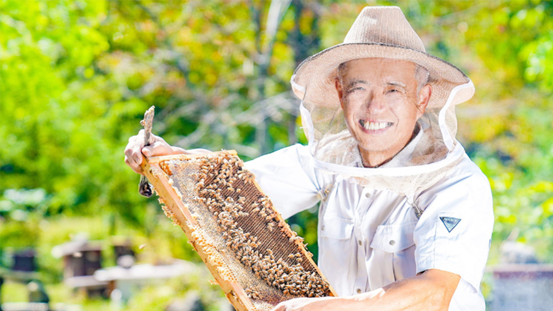 愛妻はちみつ ( 百花 ) 500g と 250g の 2個 セット はちみつ ハチミツ 国産 蜂蜜 群馬 おすすめ つまごいビーガーデン [AC005tu]
