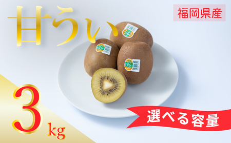 【先行予約】【2026年10月下旬から11月末発送】福岡限定!ブランドキウイ「甘うぃ(あまうぃ)」約3kg箱(24-30玉) NGK001