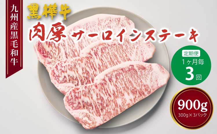 
            【1ヶ月毎3回定期便】黒毛和牛 肉厚 サーロインステーキ 計約900g （約300g×3回）
          