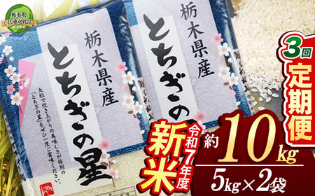 【栃木県共通返礼品】【先行予約】【定期便3回】とちぎの星 10kg（5kg×2袋） | 米 こめ コメ kome 白米 精米 お米 とちぎのほし トチギノホシ ﾄﾁｷﾞﾉﾎｼ 粘り 弾力 冷めても美味しい 丼もの カレー 新米 栃木米 令和7年度米 令和7年度 2025年度米 2025年度 ブランド米 栃木県 特産品 送料無料 栃木県 下野市 しもつけ市