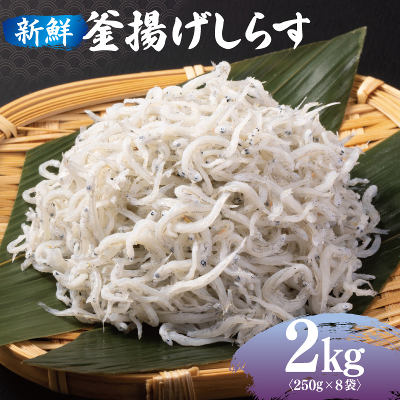 新鮮 釜揚げしらす 合計 2kg 小分け 250g×8P 020C361