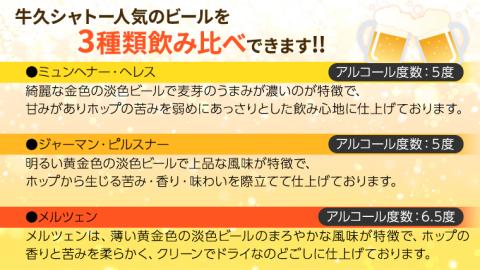 牛久シャトービール3種類6本セット（茨城県共通返礼品 牛久市） 地ビール クラフトビール お酒 飲み比べ 詰め合わせ セット お土産 お祝い 贈り物 ギフト 記念日 国産 茨城 [BX001sa]