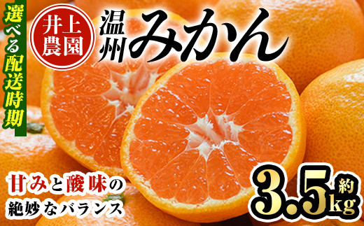 
            ＜配送時期が選べる＞数量限定 大分県宇佐市産 温州みかん 約3.5kg(11月～12月は早生みかん) みかん ミカン 蜜柑 柑橘 フルーツ 果物 くだもの 果実 国産【103600700】【井上農園】
          