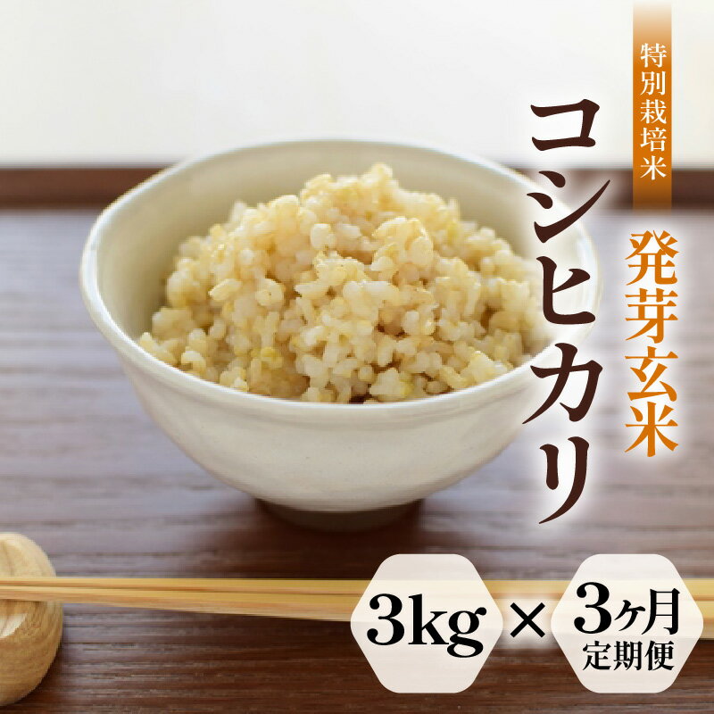 【ふるさと納税】【期間限定】【3ヶ月連続お届け】【令和7年産】発芽玄米 特別栽培米 コシヒカリ 3kg × 3回（計9kg）【米 玄米 こしひかり ギャバ GABA 特別栽培 食物繊維 栄養 真空パック ごはん ご飯 おいしい ふるさと納税米】