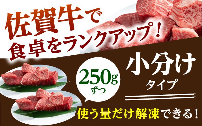佐賀牛 A5 ヒレ サイコロステーキ 500g ( 250g×2パック ) 牛肉 ヒレステーキ 希少部位 フィレ フィレステーキ