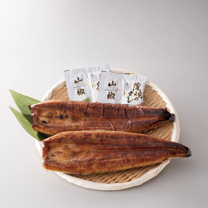＜高島屋選定品＞鹿児島県産うなぎ蒲焼じっくり焼き(190g×2尾) (IB001-058)