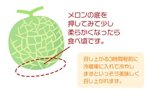 【令和6年産先行予約】 庄内砂丘青肉・赤肉メロン食べくらべ　 各1玉 (計2玉) 約2.5kg 山形県鶴岡市産　株式会社 元青果