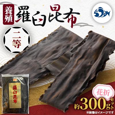 ふるさと納税 羅臼町 羅臼昆布 養殖 二等 約300gセット 北海道 知床 羅臼産