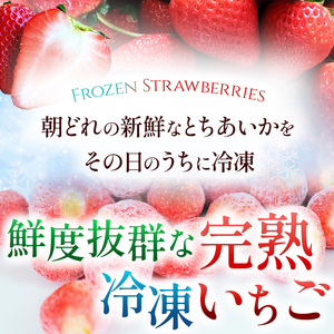【栃木県共通返礼品】【定期便12回】冷凍いちご 1kg | いちご とちあいか 冷凍 冷凍イチゴ スイーツ ジャム スムージー たっぷり 大粒  甘い 美味しい 果物 デザート 栃木県 那珂川町 送料
