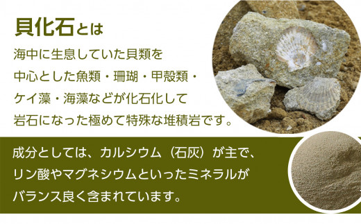 肥料 貝化石 20kg 1袋 土壌 改良 ミネラル 環境 【2024年4月以降発送】