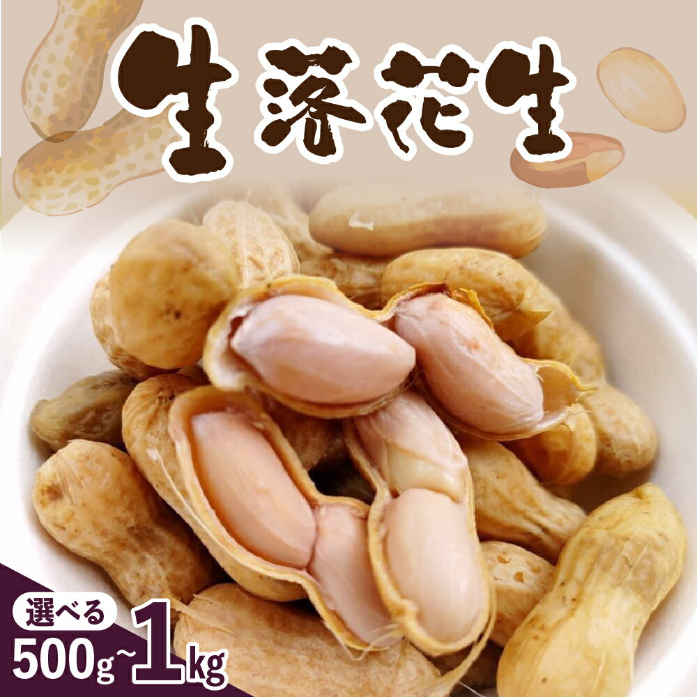 【ふるさと納税】【先行予約】生落花生（洗い）500g 1kg 内容量が選べる 落花生豆 ピーナッツ おつまみ おやつ 冷蔵便 送料無料 北海道 十勝 芽室町