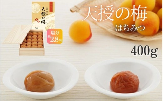 【塩分2.8%】天授の梅　はちみつ 400g（木箱入り）　 kwm002