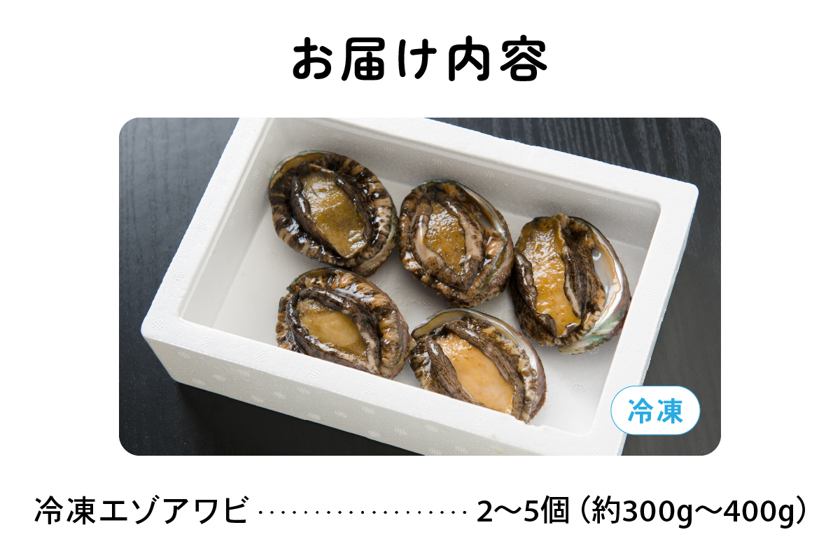 【産地直送　留萌産】天然（冷凍）エゾアワビ 300ｇ～400ｇ（2～5個入り） 冷凍 魚貝 貝 殻付 海鮮 海産物 海の幸 魚介 魚介類 刺身 刺し身 お刺身 ステーキ バーベキュー BBQ アワビ 