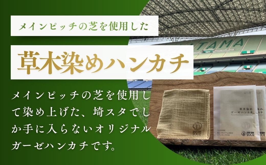 サッカー 埼玉スタジアム 埼スタ ピッチ 体験 ツアー 埼玉スタジアム 埼玉県庁