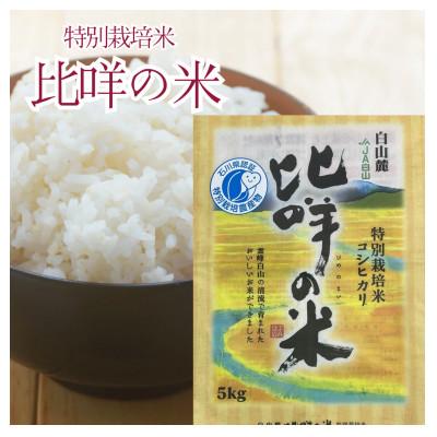 ふるさと納税 白山市 特別栽培米　ヒメの米(白山麓コシヒカリ)精米5kg