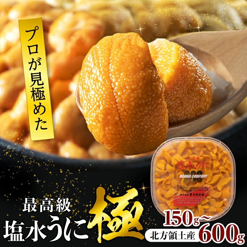 【ふるさと納税】【内容量が選べる】 うに プロ厳選 最高級 塩水 うに 極 バフンウニ ミョウバン不使用 無添加 安心 安全 食品 うに丼 海鮮 海産物 魚介 人気 おすすめ プレゼント おつまみ 寿司 パスタ 軍艦 トッピング ギフト 贅沢 北海道 浜中町 送料無料