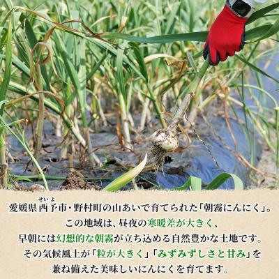ふるさと納税 西予市 <西予市産 朝霧にんにく(乾燥小袋)30袋 内容量 国産 ニンニク ノムランド |  | 02