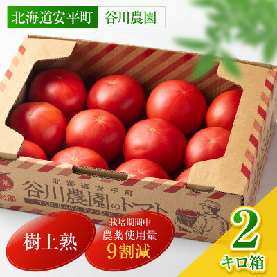 【ふるさと納税】【北海道産】樹上熟3段採り 桃太郎トマト / 正品2kg箱(10～15玉入)【配送不可地域：離島】【1472504】