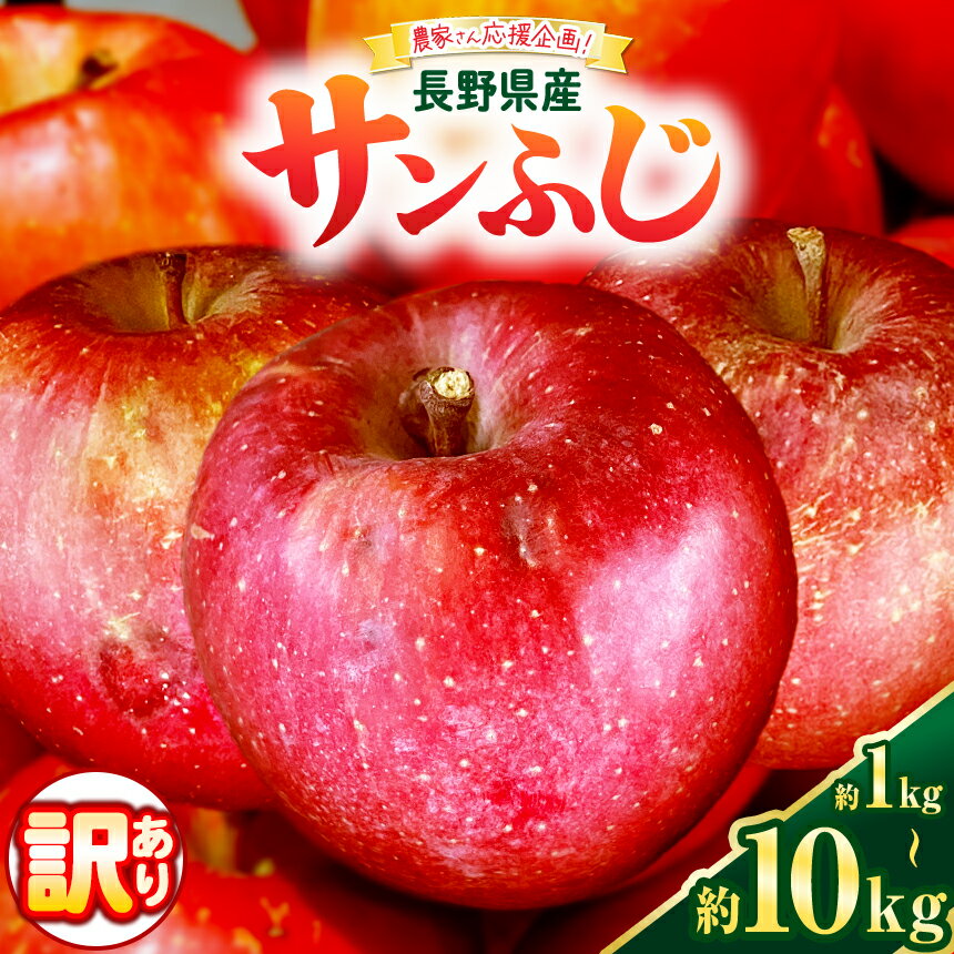 【ふるさと納税】もぎたて 旬 信州産 訳あり サンふじ 【選べる】1kg~10kg ( 3 ～ 50玉 ) | 農家直送 果物 くだもの フルーツ サンふじ リンゴ りんご 林檎 アップル 信州 松本市 生産量 No.2 長野県 | 家庭用 大小混合 果実 農家応援 人気 大容量 美味しい 甘い お得