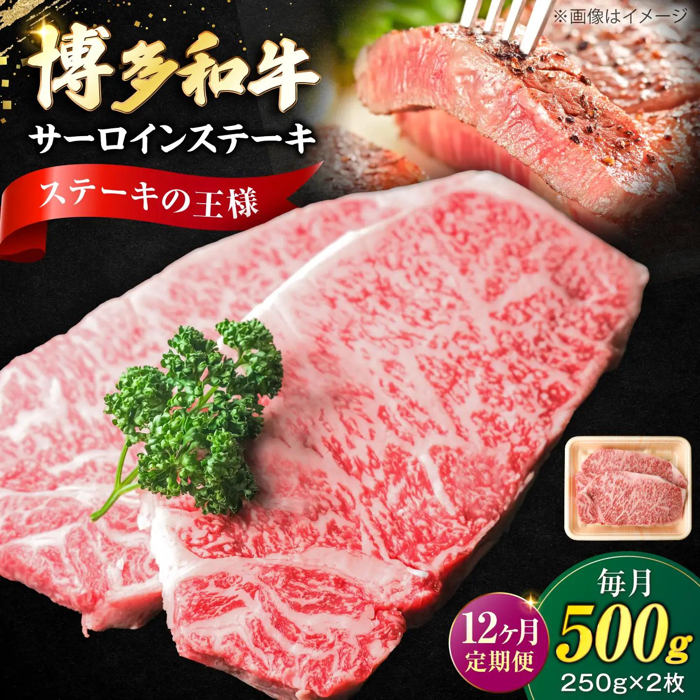 【全12回定期便】大満足！ 博多和牛 牛肉 サーロイン ステーキ 500g(250g×2) VFD076 ステーキ 