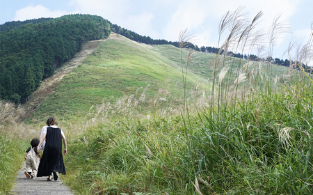 曽爾村地域旅行券 ～3,000円分～ めぐみ感じる曽爾村 NARA SONI VILLAGE 地域旅行券 / 旅行 関西 近畿 奈良 曽爾 曽爾高原 アウトドア 旅 体験 宿泊 宿泊券 旅行券 イベン
