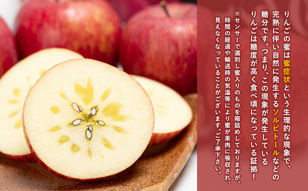 年内 蜜入り 糖度選別サンふじ 約10kg 【JA津軽みらい・平川市産・青森りんご・12月】