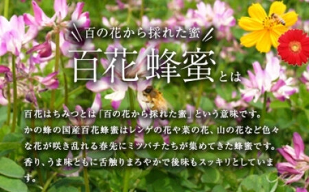 かの蜂 国産百花蜂蜜【1kg】（とんがりポリ容器）養蜂一筋60年自慢の一品　024-010