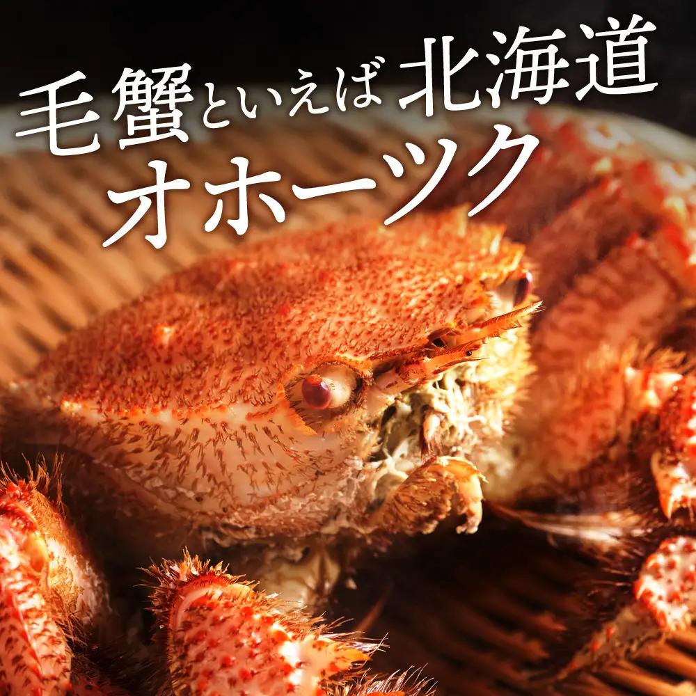 ☆北海道産 毛ガニ 約550g×1尾