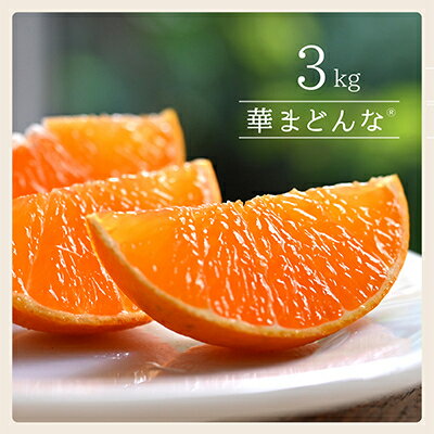 【ふるさと納税】コウ果樹園「華まどんな」3kg【D33-22】_ みかん ミカン 柑橘 マドンナ まどんな 果物 くだもの フルーツ 甘い 希少 ぷるぷる 果樹園 愛媛 ゼリーみたい デザート 愛媛みかん 密柑 美味 人気 おすすめ 送料無料 【1051536】