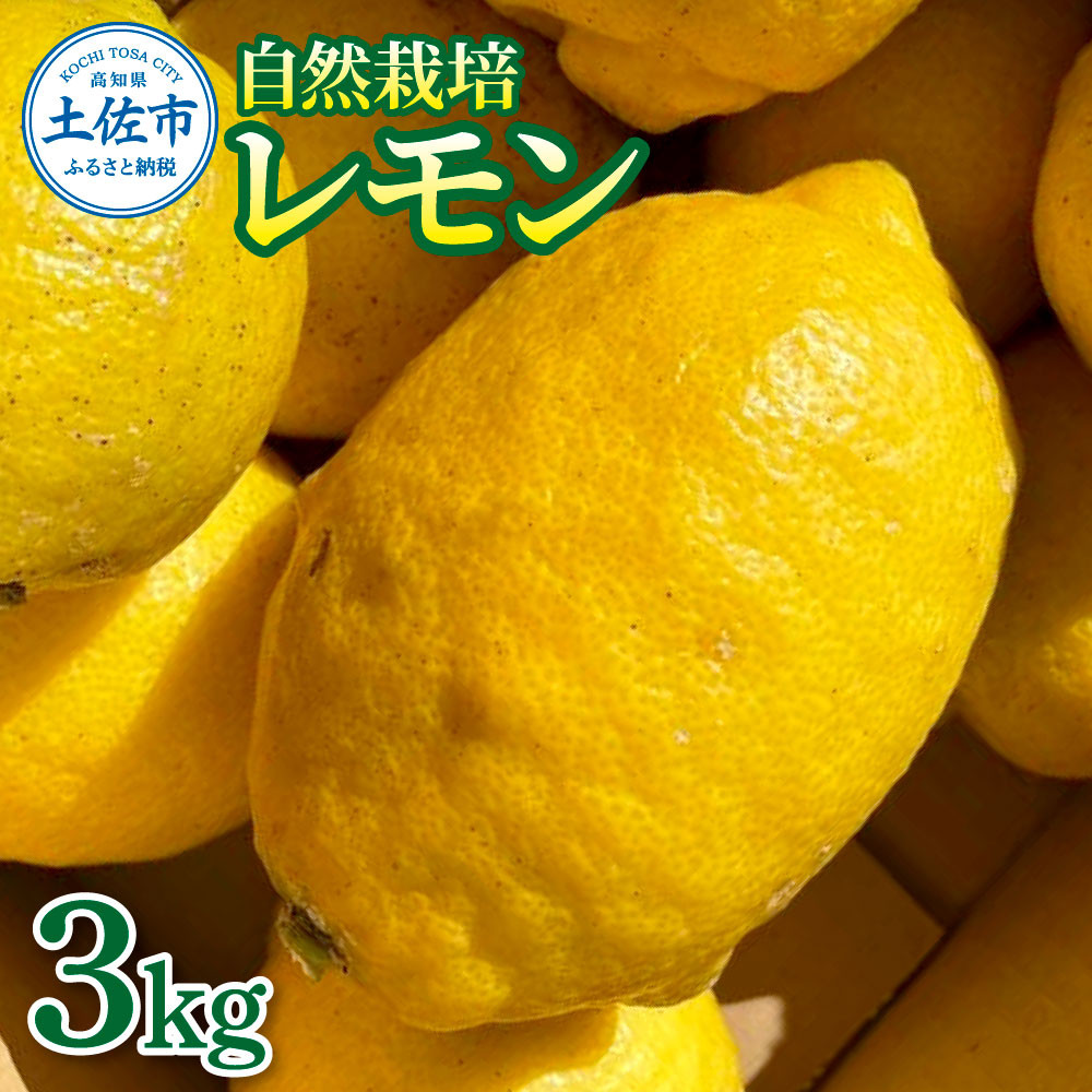 
                  【先行予約】自然栽培レモン 3kg 〈2026年9月1日～2027年4月30日発送〉3キロ レモン 檸檬 れもん 自然栽培 柑橘類 柑橘 フルーツ 果物 くだもの レモネード 塩レモン はちみつレモン レモンスカッシュ【有限会社四万十くじら】
                