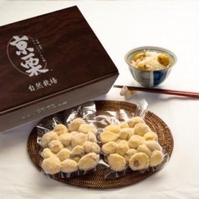 ふるさと納税 綾部市 【京栗】むき栗　500g(250g×2P)　氷蔵丹波栗