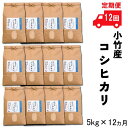 【ふるさと納税】【定期便】小竹産コシヒカリ 5kg×12ヵ月 【新米 60kg 精米 島根県 安来市 おいしい お米】