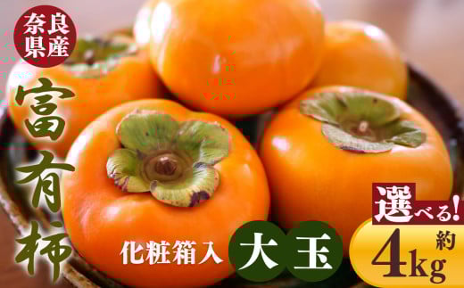 【 令和7年分 先行予約 】 富有柿 化粧箱 入り 大玉 3L サイズ 11個 | フルーツ くだもの 果物 柿 かき カキ 奈良県 五條市 果実 11月 12月 発送 秋 旬 味覚 グルメ お取り寄せ 送料無料 大容量 選べる 容量 農家直送 産地直送 ビタミン タンニン 食物繊維 豊富 美容 健康 熊代農園 特産品 多汁 甘い 柔らかい ジューシー 甘柿 ギフト プレゼント 大きい