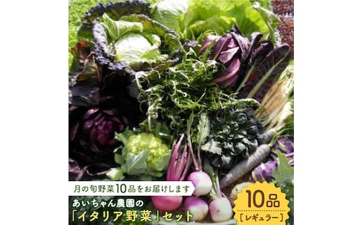 
										
										【10品】あいちゃん農園の「イタリア野菜」セット（レギュラー） [FAA017]
									