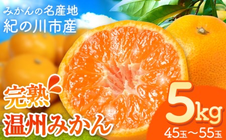 【先行予約】完熟 温州みかん 約5kg (45~55玉) こだまファーム《2025年10月中旬-2026年2月中旬頃出荷》 みかんみかんみかん