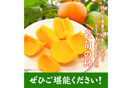 和歌山県産 柿 約2.5kg(11玉-12玉)前商店《9月下旬-11月中旬頃出荷》