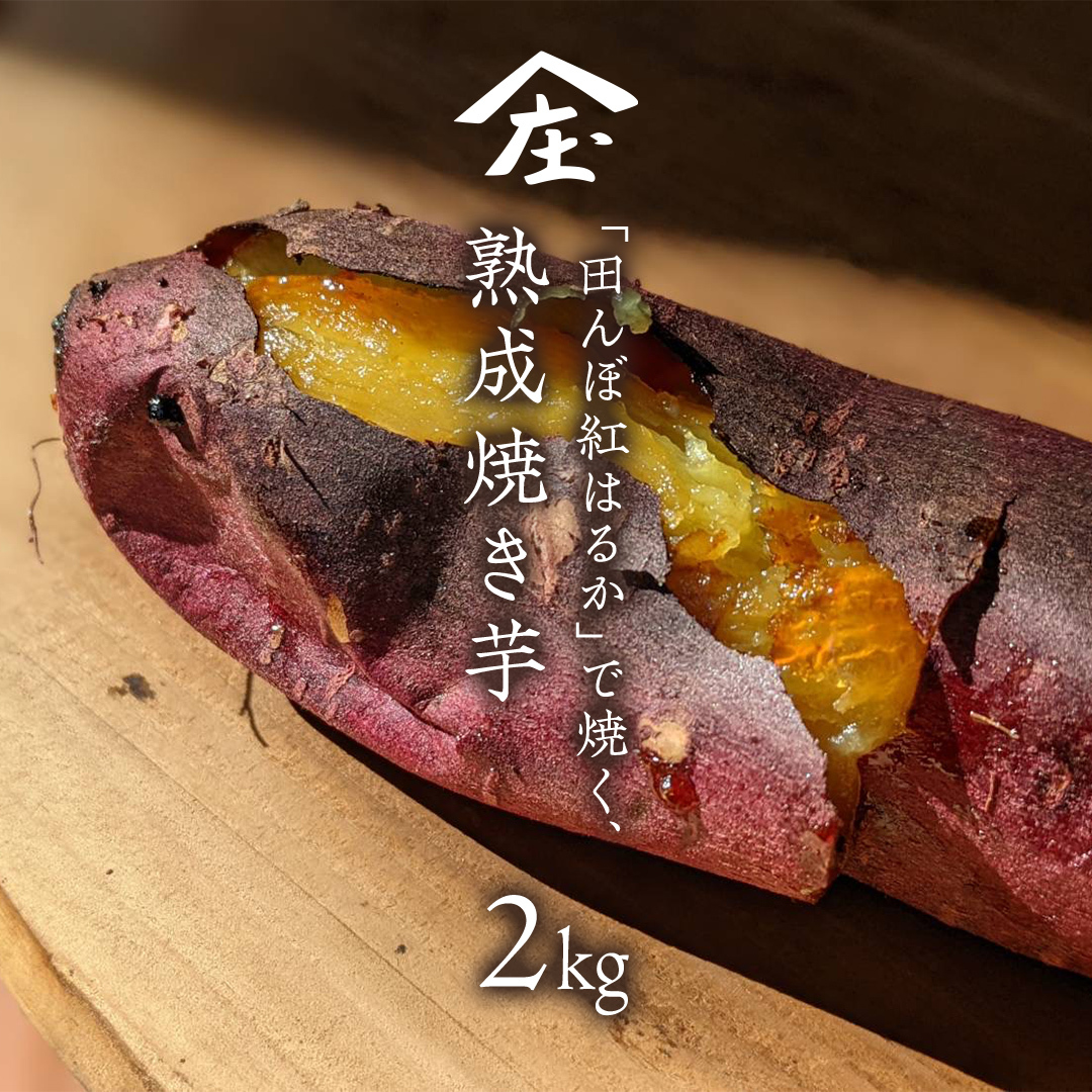 「田んぼ 紅はるか」で焼く、熟成焼き芋 2kg (500g×4梱包) 焼き芋 芋 さつまいも おやつ スイーツ 茨城 庄七農園 [BK23-NT]