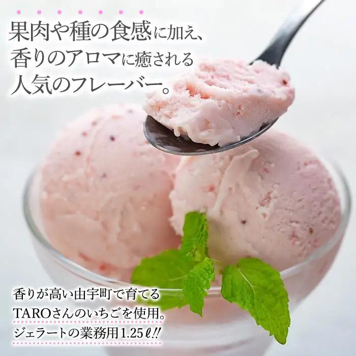 【ふるなびWEEK対象】【訳あり】藤井牧場 いちご ミルク ジェラート 1.25リットル
