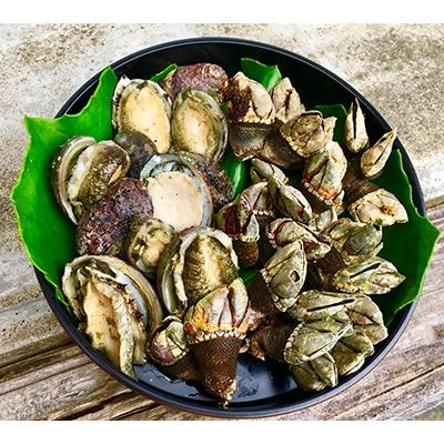ふるさと納税 屋久島町 屋久島産　加熱用「亀の手250g」と加熱用「いそもん250g」セット【海水で冷凍】